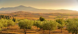 Pienza Prints: View of golden Tuscan landscape near Pienza