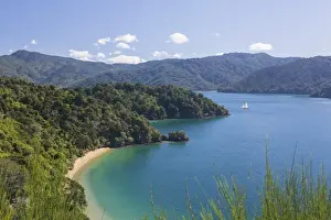 View over Governors Bay and Grove Arm, Queen Charlotte Sound (Marlborough Sounds)