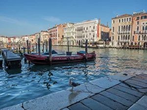 Venetian Prints: View of the Grand Canal from the Rialto Fish Market