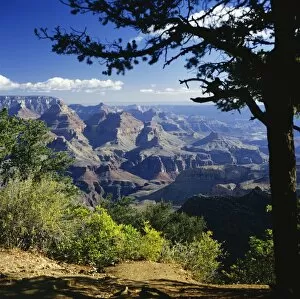 Wilderness Gallery: View over the Grand Canyon