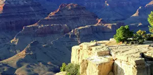 Range Prints: View of the Grand Canyon from South Rim in Arizona showing rock formations and trees under clear skies in daylight