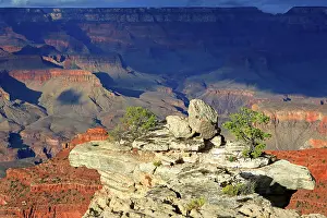 Grand Prints: View of Grand Canyon from South Rim during the day with rock formations and greenery in sight in Arizona USA