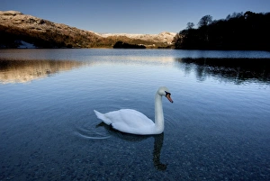 Images Dated 3rd December 2008: View across Grasmere on snowy winter morning with sunlight on distant fells