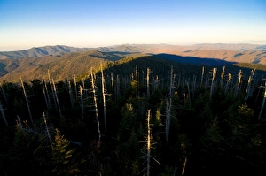 Images Dated 5th November 2008: View over the Great Smoky Mountains National Park, UNESCO World Heritage Site