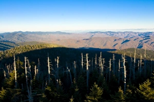 Images Dated 5th November 2008: View over the Great Smoky Mountains National Park, UNESCO World Heritage Site