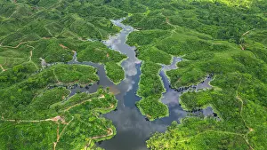 Ecology Prints: View of green landscape and water body in Sreemangal tea region, Bangladesh during daytime
