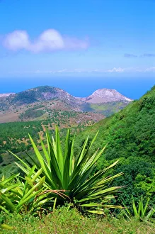 Foliage Prints: View from Green Mountain, Ascension Island, Mid-Atlantic
