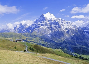 Wetter Horn Prints: View from Grindelwald-Frist to Wetterhorn