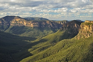 Eucalypt Forest Prints: View of Grose Valley, Blue Mountains