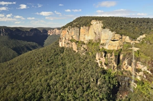 Eucalypt Forest Prints: View of Grose Valley and Govetts Leap, Blue Mountains, Blue Mountains National Park