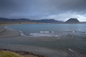 Images Dated 10th October 2008: View of Grundarfjordur and Grundarfjordur Bay, Mount Kirkjufell, 463m, in the distance