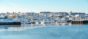 Chill Prints: View of Hafnarfjorour Marina reflecting in water in winter, Hafnarfjorour, Iceland