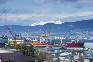 Crane Prints: View over Hakodate from the Motomachi district, Hakodate, Hokkaido, Japan, Asia