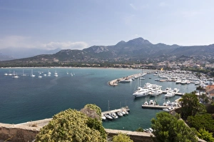 Calvi Prints: View of the harbor in the bay surrounded by the turquoise sea, Calvi, Balagne Region