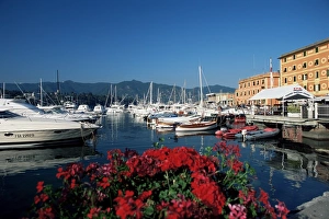 View across the harbour