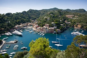Portofino Prints: View of Harbour from Castle, Portofino, Genova (Genoa), Liguria, Italy, Europe