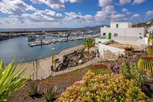 Las Palmas Prints: View of harbour from elevated position