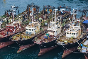 Trawler Prints: View over the harbour and fishing fleet of Busan, South Korea, Asia