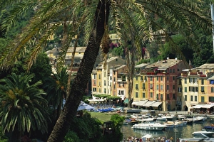 View over harbour from hillside