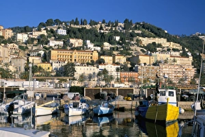 Menton Prints: View across harbour to hillside, Menton, Alpes-Maritimes, Cote d Azur