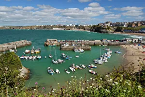 Day Time Prints: View over the harbour, Newquay, Cornwall, England