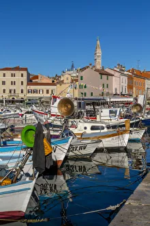 View of harbour and the old town with the Cathedral of St. Euphemia, Rovinj, Istria