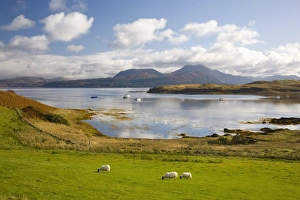 Images Dated 8th October 2009: View across harbour to the Sound of Sleat and hills of the Knoydart Peninsula
