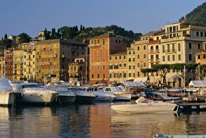 Free Time Prints: View across the harbour at sunrise