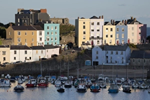 Large Group Prints: View over harbour, Tenby, Carmarthen Bay, Pembrokeshire, Wales, United Kingdom, Europe