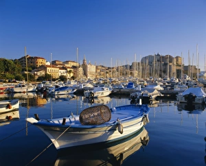 Fishing Prints: View across harbour to town and citadel, Calvi, Corsica, France, Europe