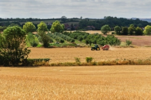 Harvesting Prints: View across a harvested landscape, Warwickshire, England, United Kingdom, Europe