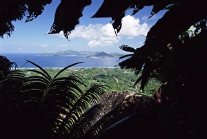 La Digue Prints: View from heights of Belle Vue