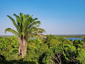 Belize Prints: View from the High Temple towards the New River