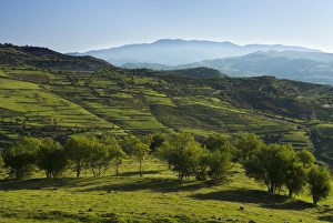 Images Dated 2nd April 2007: View over High Troodos Mountains to Mount Olympos, Troodos Mountains, Cyprus, Europe