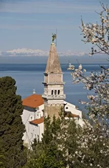 Images Dated 8th March 2009: View from a hill overlooking the old town of Piran and St. George Church