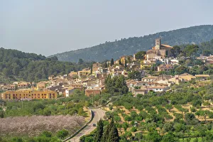 Blossom Prints: View of hilltop town of Selva, Majorca, Balearic Islands, Spain, Mediterranean, Europe