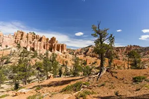 View of hoodoo formations from the Fairyland Trail in Bryce Canyon National Park