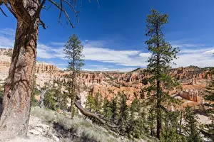 View of hoodoo formations from the Fairyland Trail in Bryce Canyon National Park