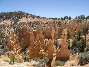 A view of the hoodoos from the Fairyland Trail in Bryce Canyon National Park, Utah