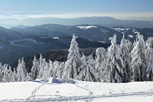 Black Forest Prints: View from Hornisgrinde mountain in winter, Black Forest, Baden Wurttemberg, Germany