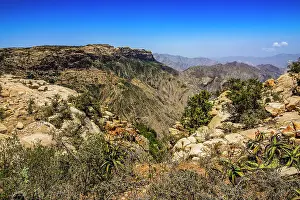 Shrub Prints: View over a huge canyon from the Pre-Aksumite settlement of Qohaito (Koloe)