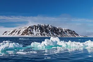 Chilly Prints: A view of ice-covered Phippsoya