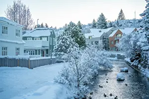 Chilly Prints: View of icy river and houses in Hafnarfjorour at sunrise in winter