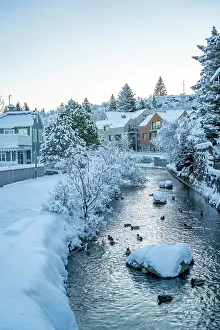 Cozy Prints: View of icy river and houses in Hafnarfjorour at sunrise in winter