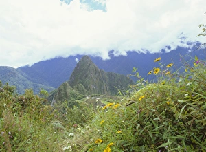 Machu Picchu Prints: View of Inca ruins in distance