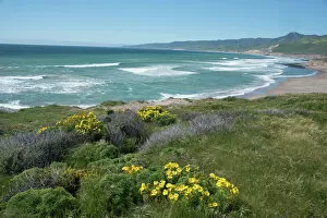 Vanishing Point Gallery: View of Jalama Beach County Park, near Lompoc, California, United States of America