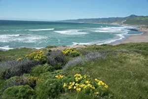 Vanishing Point Gallery: View of Jalama Beach County Park, near Lompoc, California, United States of America