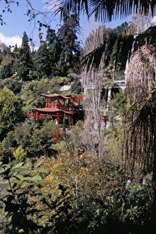 View to Japanese Garden