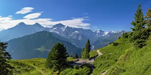 Jungfrau Prints: View of Jungfrau, Monch and Eiger mountains from Schynige Platte Botanical Gardens