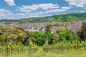 Stuttgart Prints: View from Karlshohe viewing point to Degerloch and tv tower